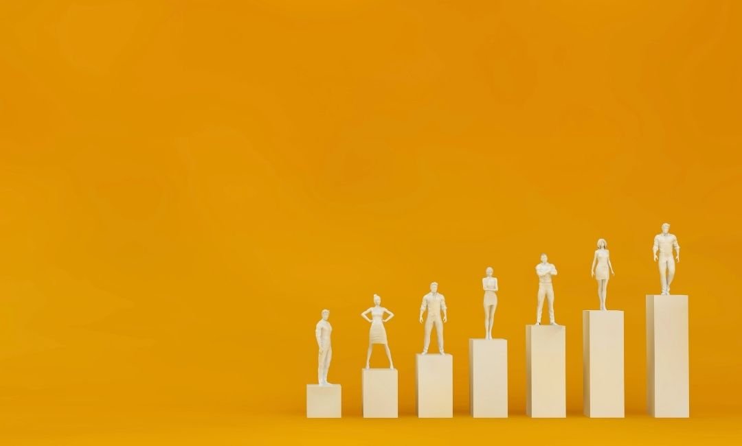 Interdisciplinary Study Model